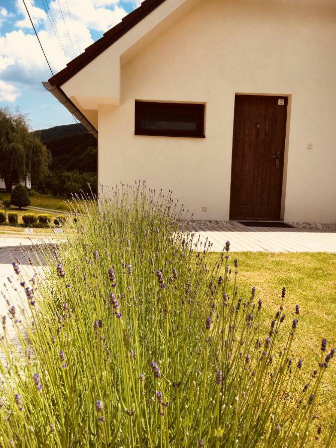 Grand Spa Holiday Home Sklené Teplice Exterior foto